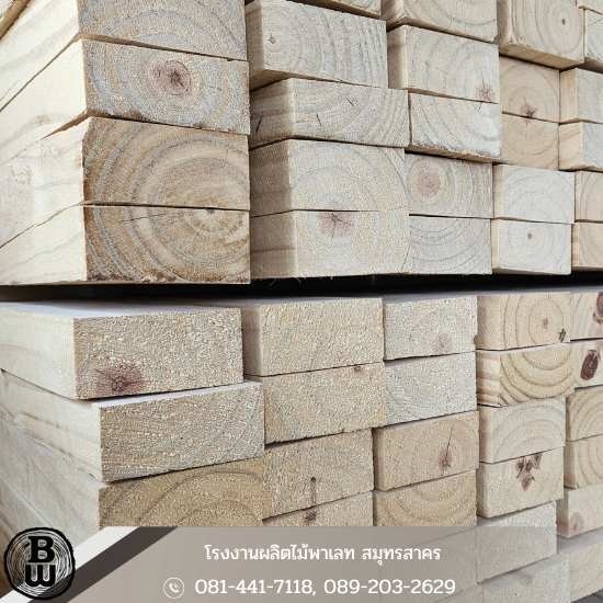 จำหน่ายไม้สนพร้อมตราIPPC สำหรับงานรัดสินค้าในตู้คอนเทนเนอร์ - จำหน่ายไม้พาเลท สมุทรสาคร - แบล็ควู้ด